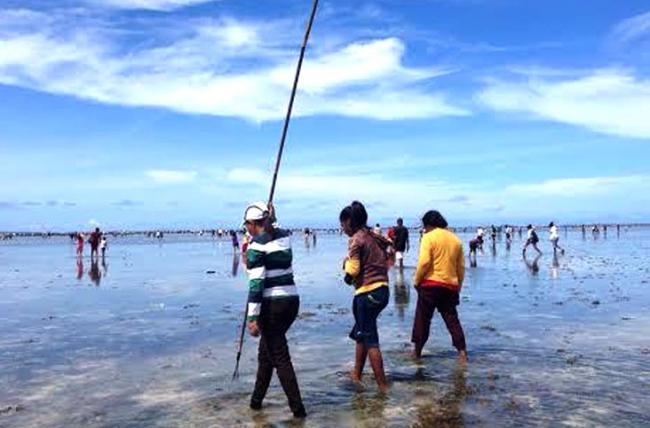 Nyuluh, Masuk Kalender Wisata Natuna 2017